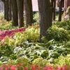 Local Florist Shop Combs Landscape & Nursery in Evansville IN