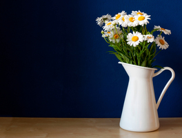 How to make your flowers last longer